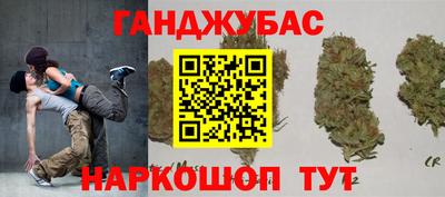 гидра Кингисепп
