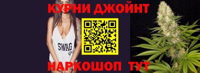 гидра Кингисепп