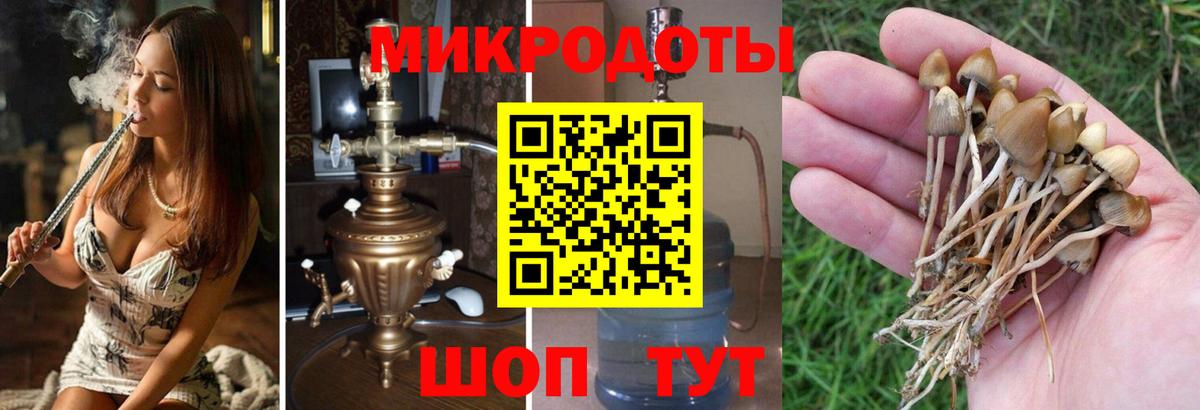 Псилоцибиновые грибы Magic Shrooms  Вход с VPN  Югорск 